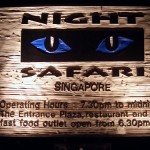 Night Safari in Singapore
