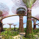 Singapore’s Futuristic Park: Gardens by the Bay