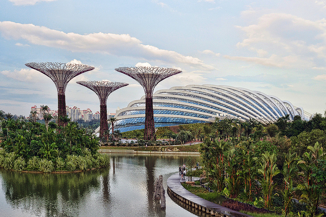 The Supertrees and Cloud Forest