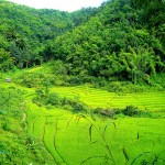 Thailand’s Ecotourism Trail