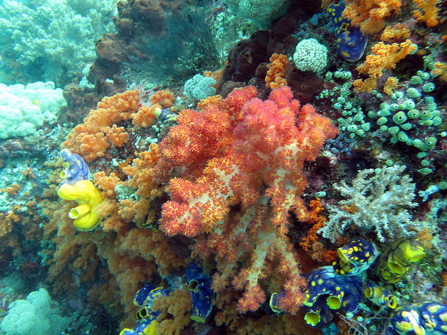 Talk about color that pops. (Photo by Erwin Soo) 