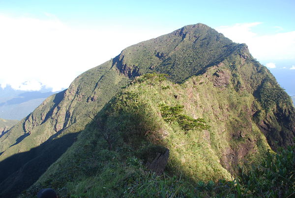 Mayo's Peak