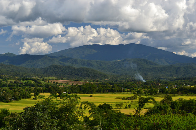 pai