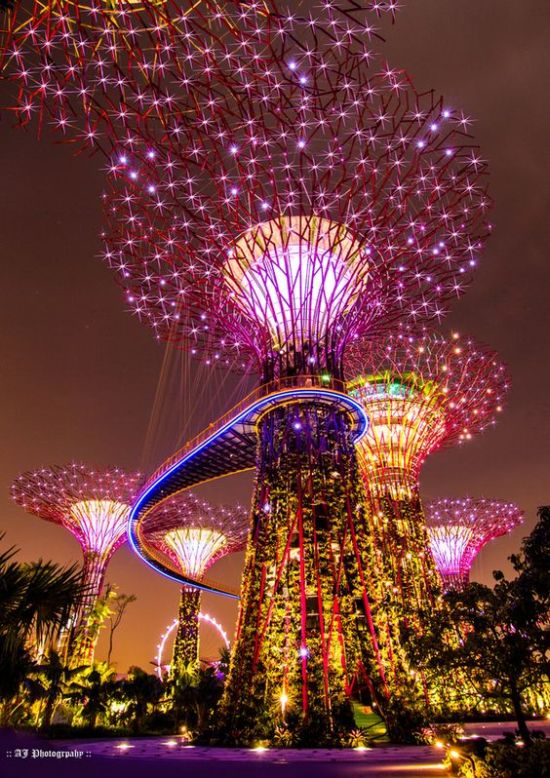 Gardens by the bay, Singapore