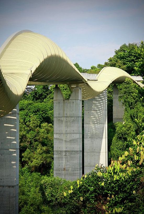 Henderson Waves Bridge