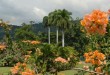 Hope Gardens