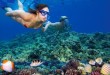 Snorkeling in Maui