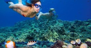 Snorkeling in Maui